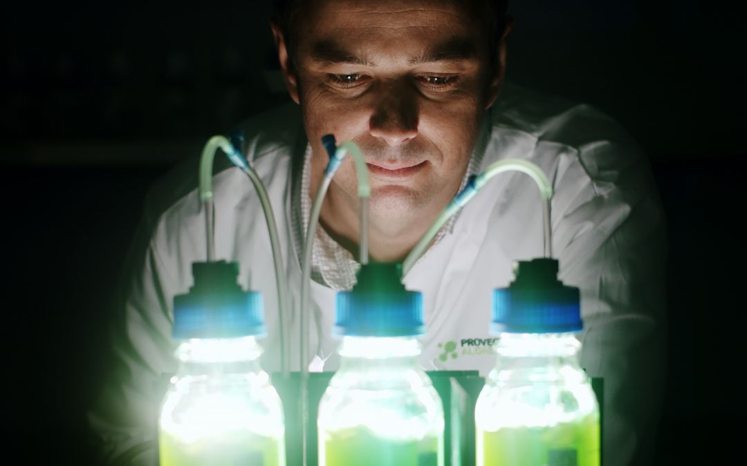 AMGC backs Provectus Algae’s blooming great idea