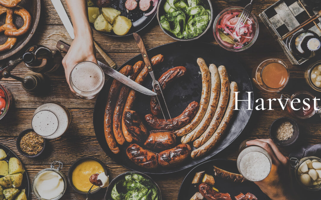 Manufacture and Commercialisation of Plant Based Protein Ingredients