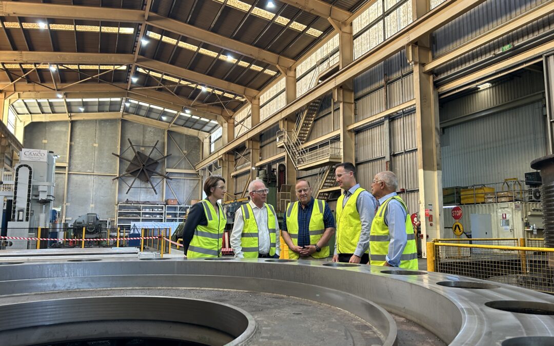 Wind Tower Anchor Cage